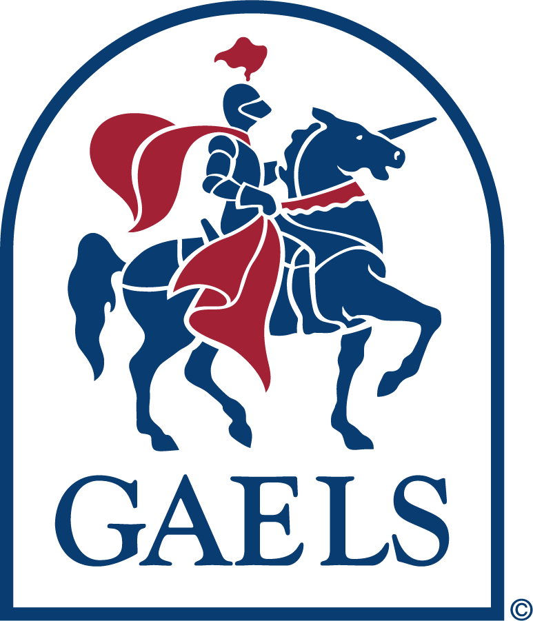 Saint Marys Gaels 1991-2000 Primary Logo iron on transfers for T-shirts